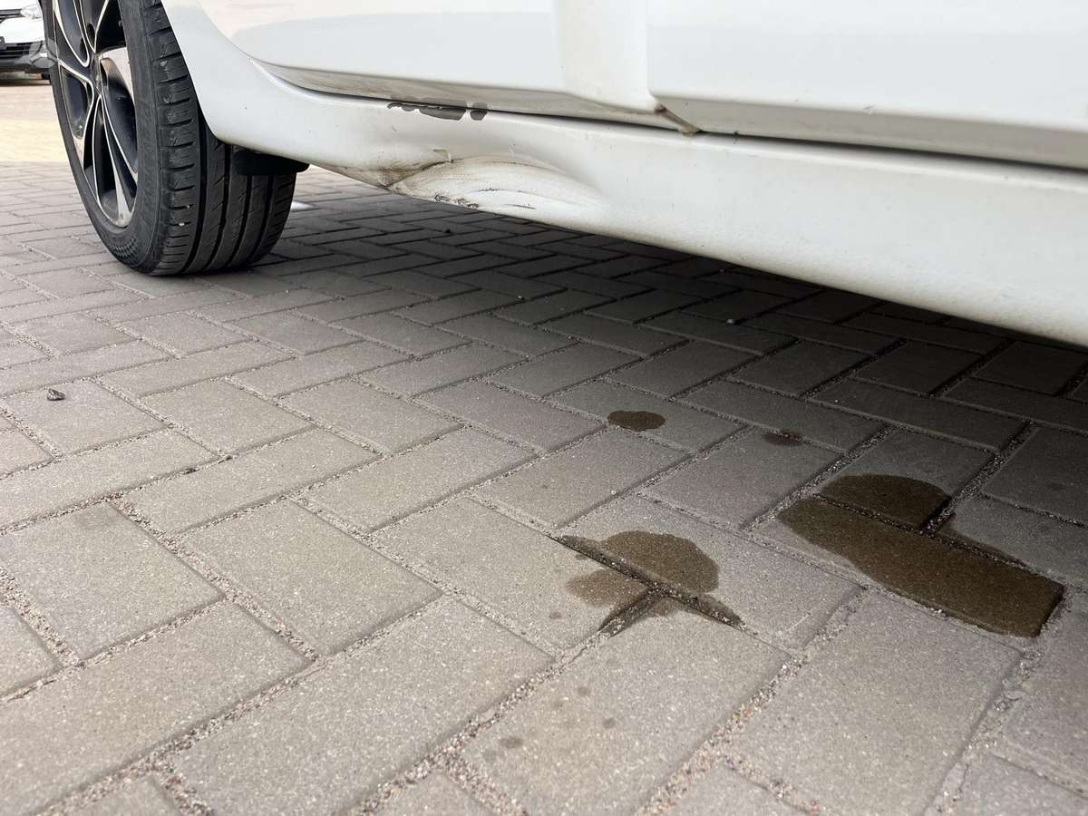 Renault Scenic, 1.5 l., Минивэн