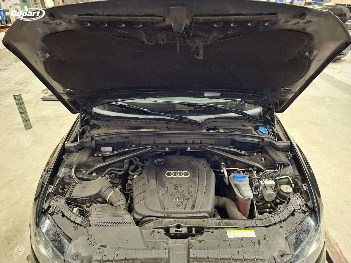 Audi Q5, 2.0 l., Внедорожник / Кроссовер