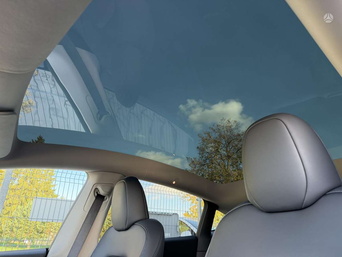 Tesla Model Y, 81 kWh, off-road / crossover