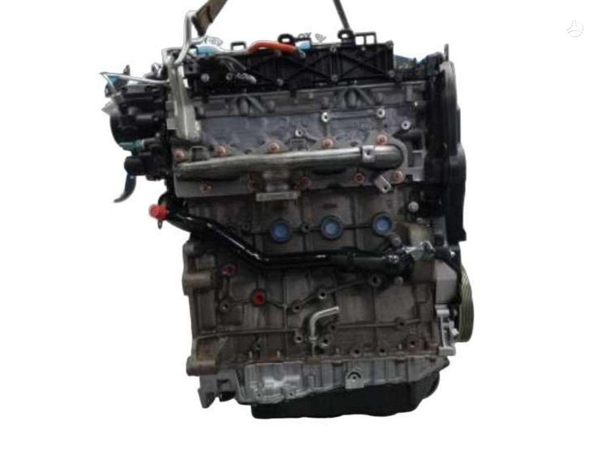 Ford Focus, TXDB, lubricants, oils