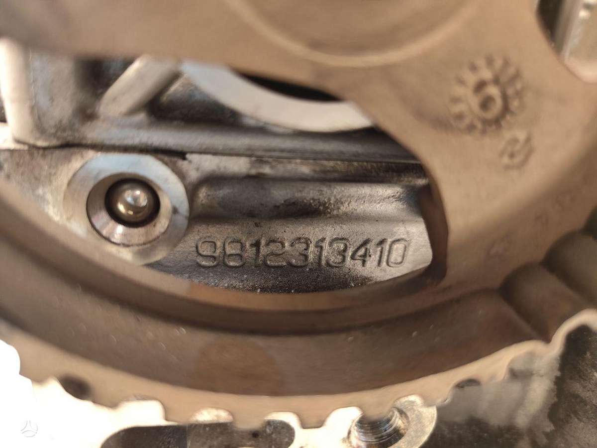 Citroen Jumpy, 9812313410, cylinder head