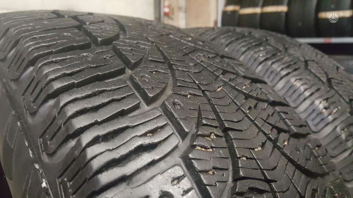Pirelli WINTER CARVING, winter 225/55 R17
