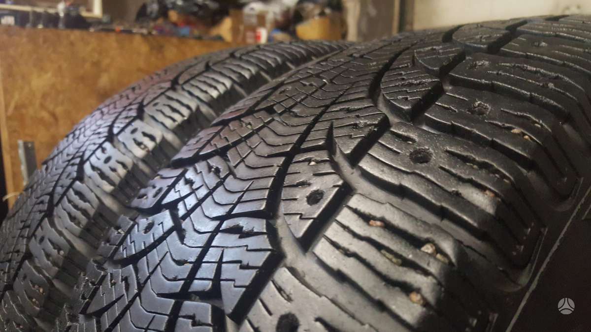 Pirelli WINTER CARVING, winter 225/55 R17