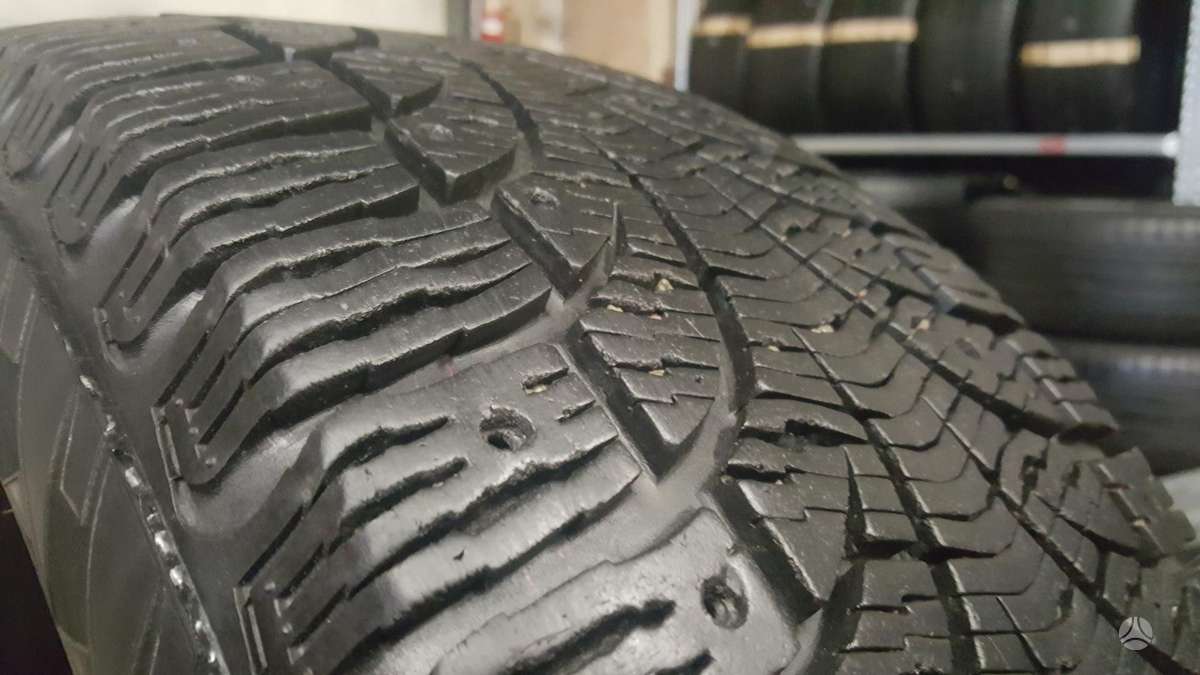 Pirelli WINTER CARVING, winter 225/55 R17