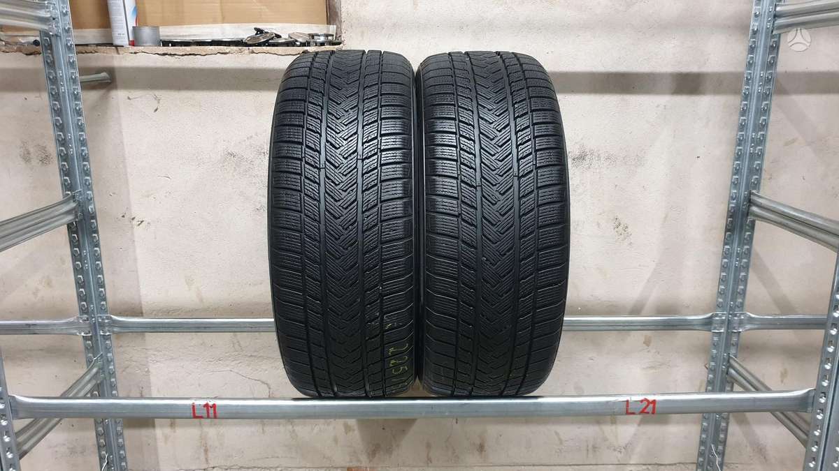 Gripmax Status Pro Winter, winter 225/50 R18