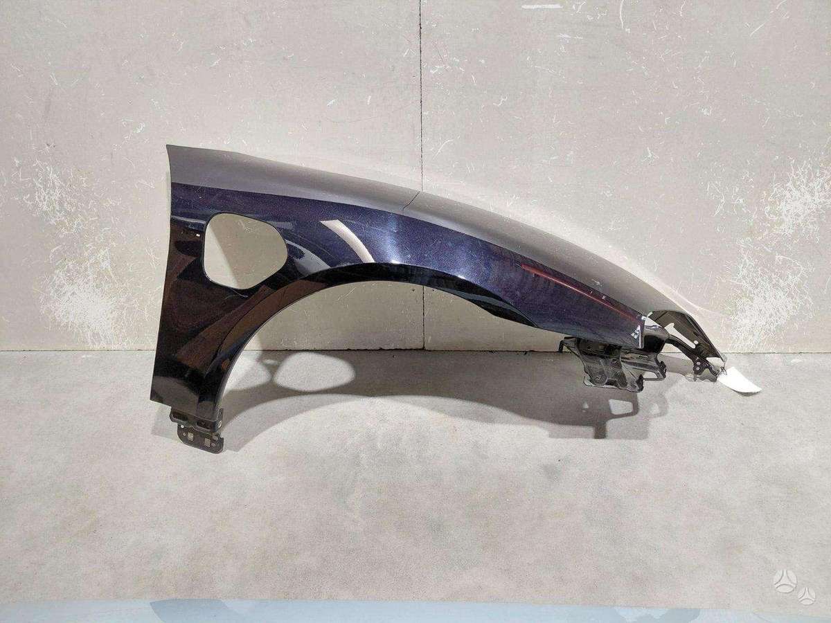 Porsche Taycan fenders