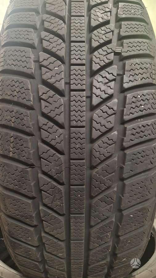 Evergreen, зимние 195/55 R16