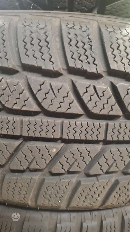 Evergreen, зимние 195/55 R16