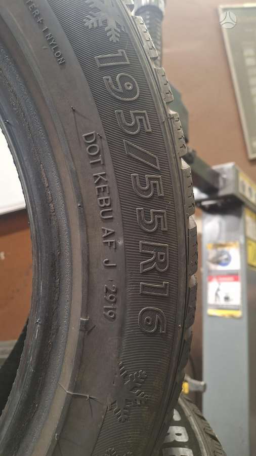 Evergreen, зимние 195/55 R16