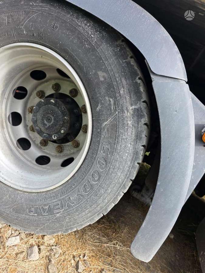 MAN TGX, other