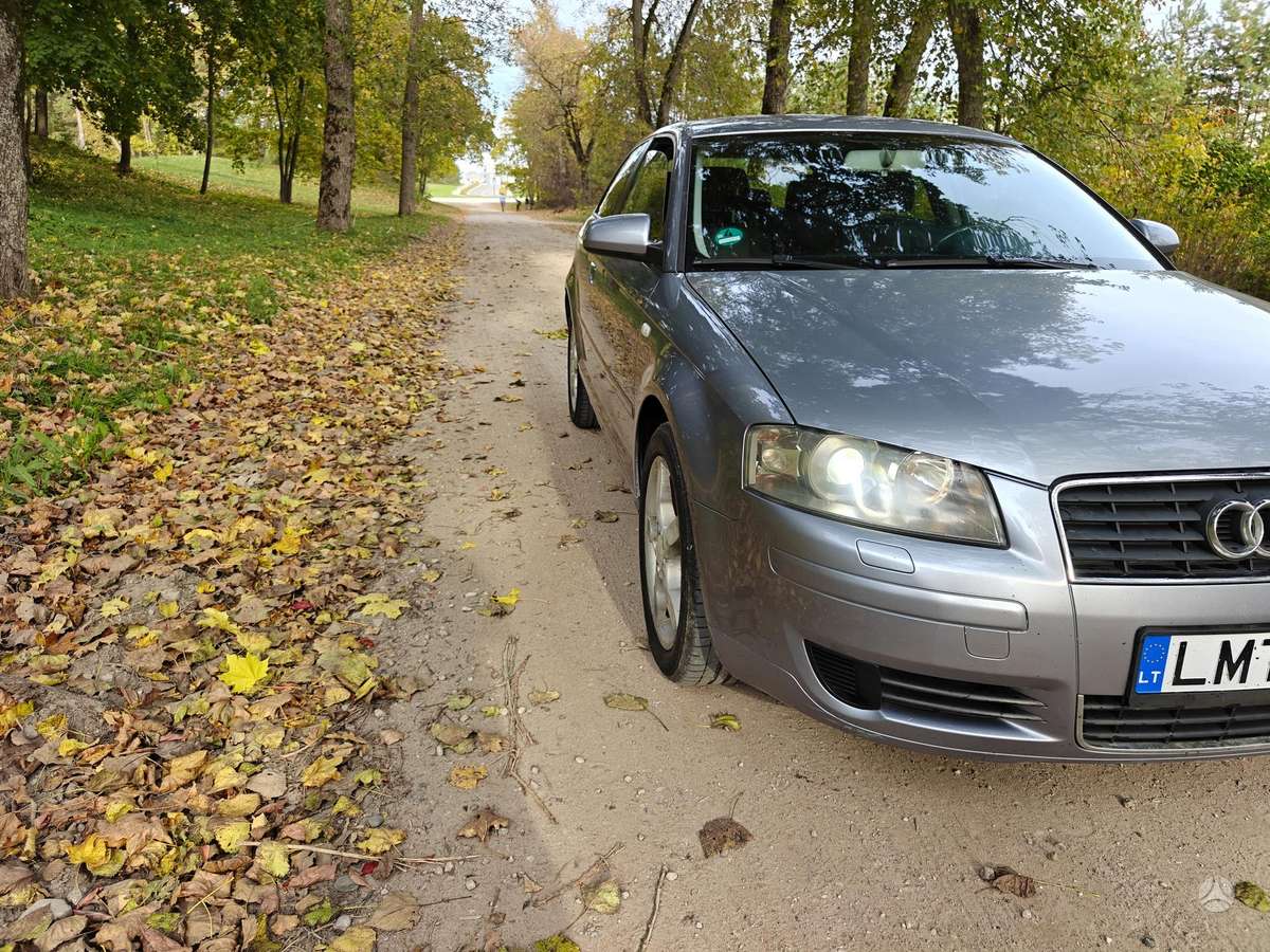 Audi A3, 2.0 l., hatchback