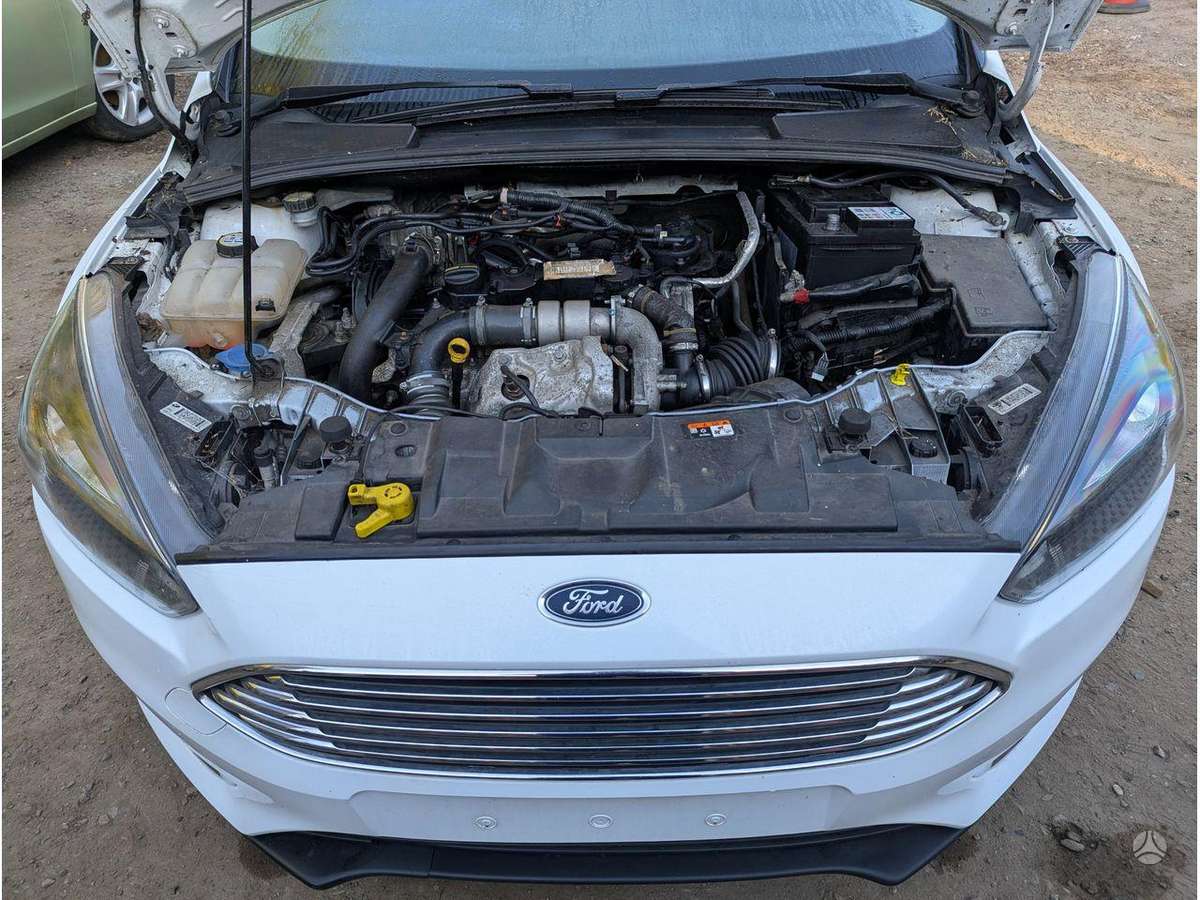 Ford Focus dzinējs