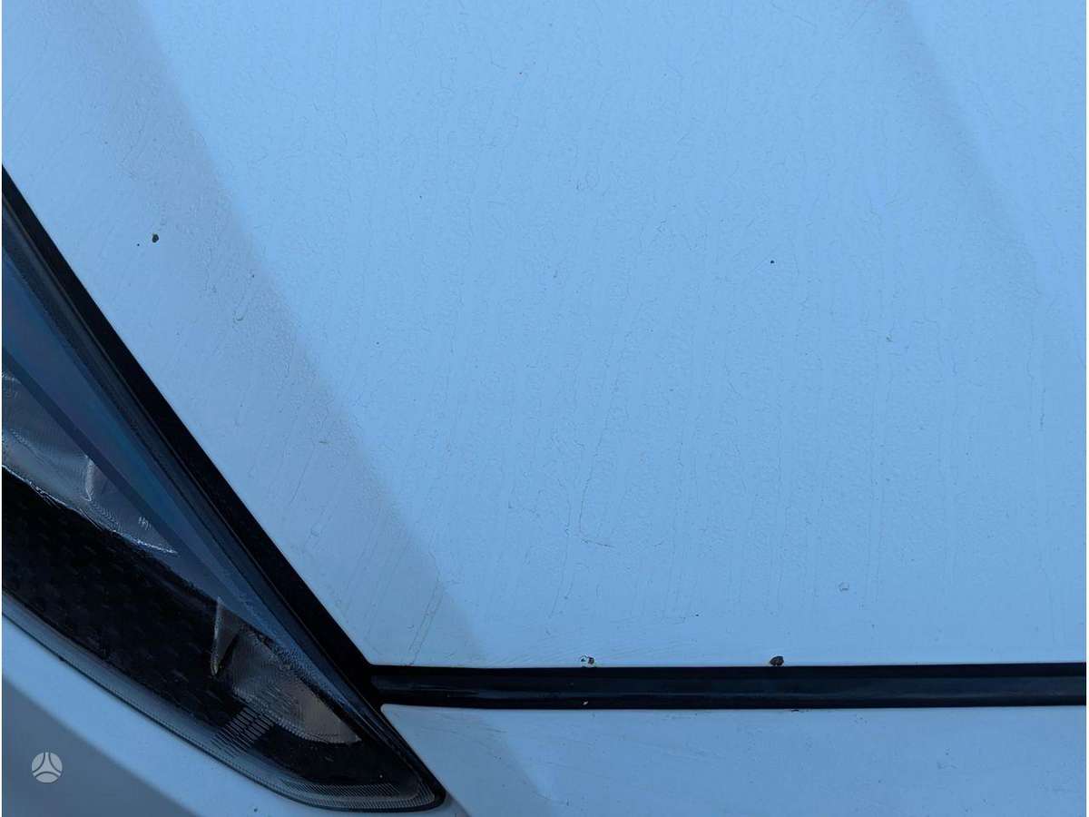 Ford Focus двигатель