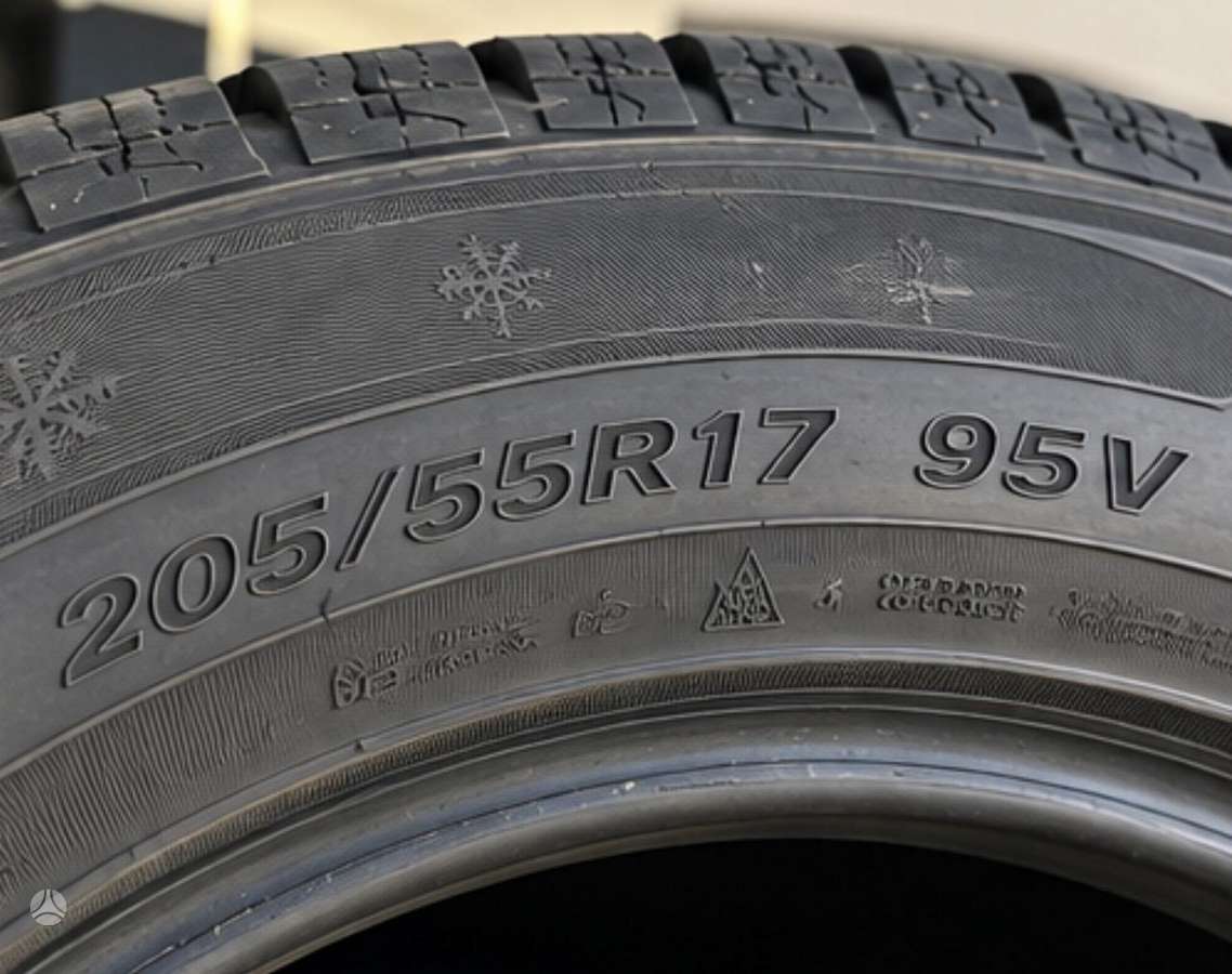 Fortuna, winter 205/55 R17