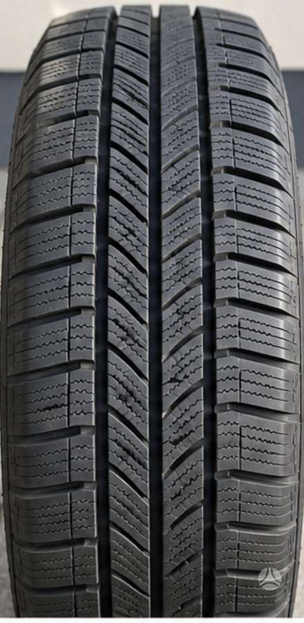 Fortuna, winter 205/55 R17