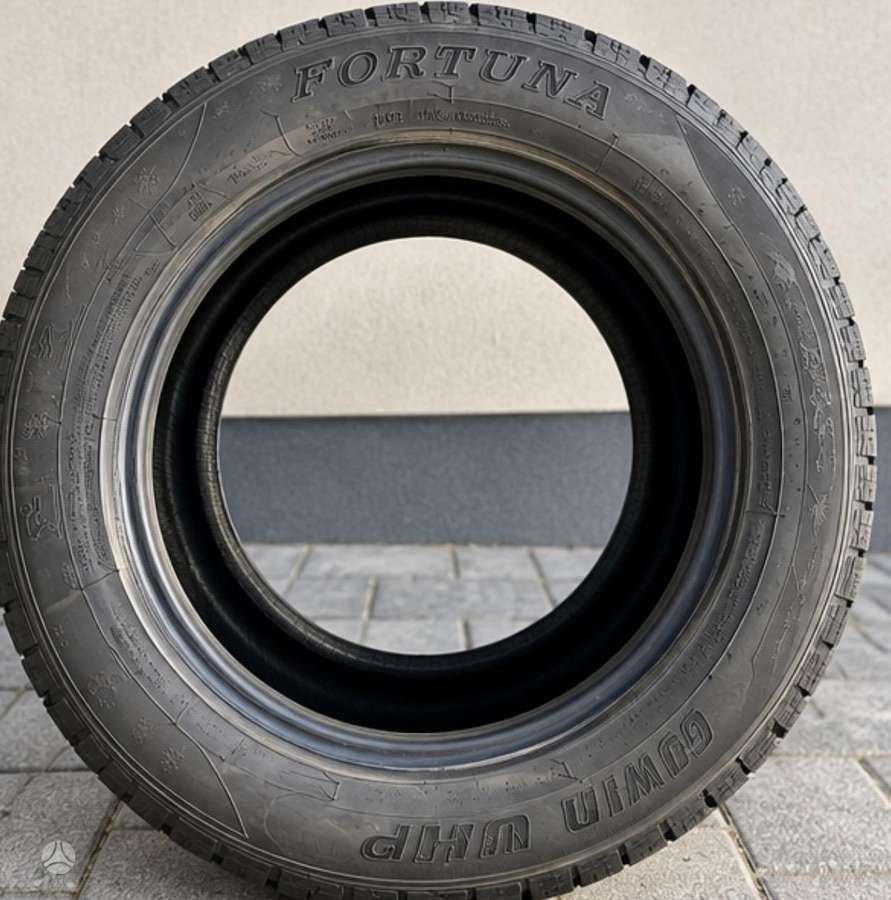 Fortuna, winter 205/55 R17