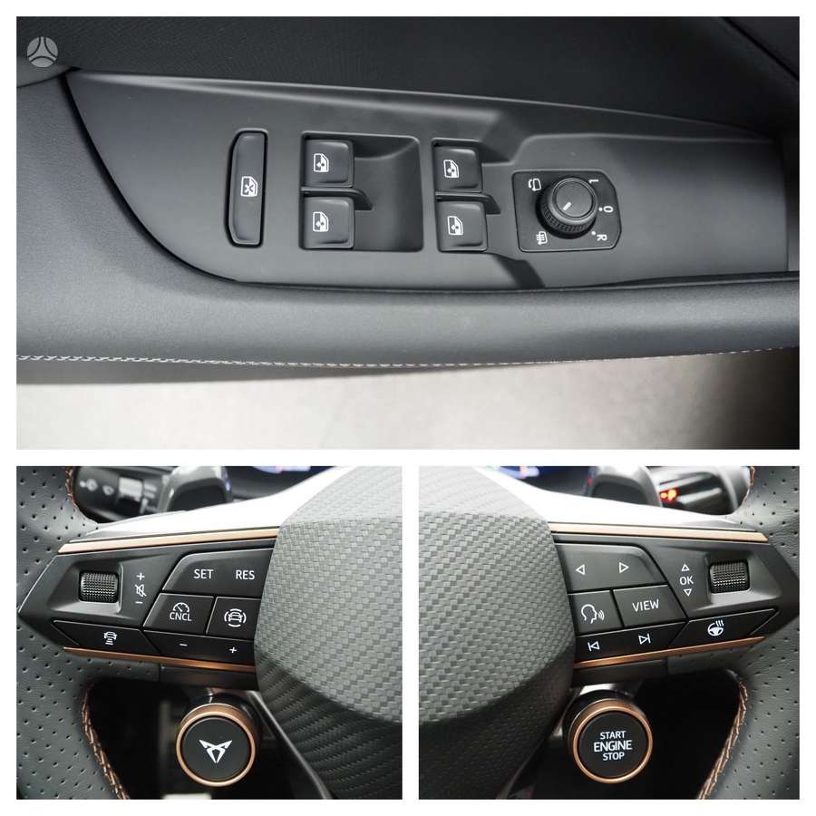 Cupra Terramar, Внедорожник / Кроссовер