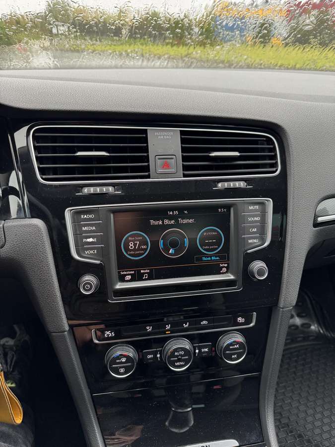 Volkswagen Golf, 2.0 l., hatchback