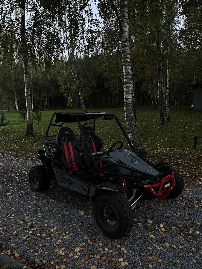 Asix Tao 200cc, keturračiai