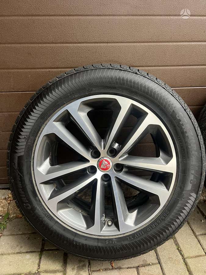 Pirelli, winter 255/55 R19