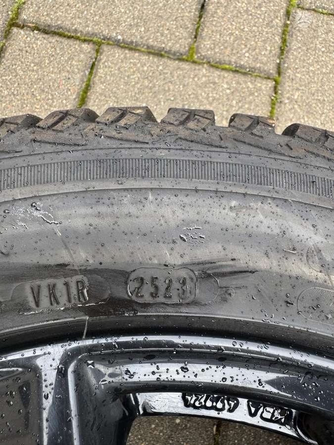 Borbet TL, light alloy, R16