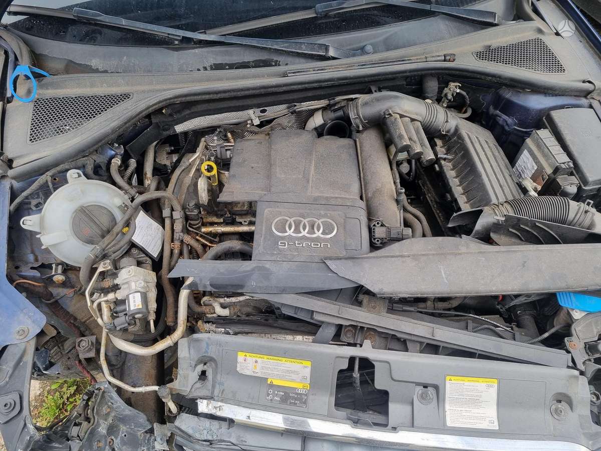 Audi A3, 1.4 l., hatchback