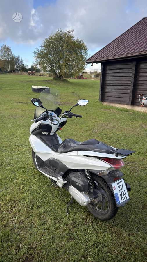 Honda PCX 125cc, scooters / mopeds