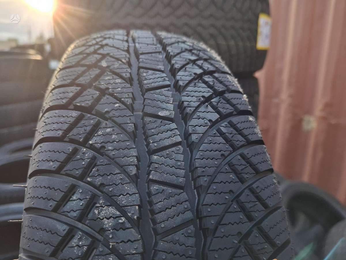 Sunny, winter 175/65 R14