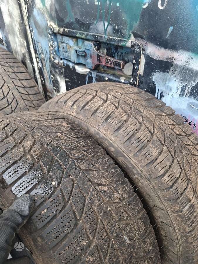 Triangle, всесезонные 205/55 R16