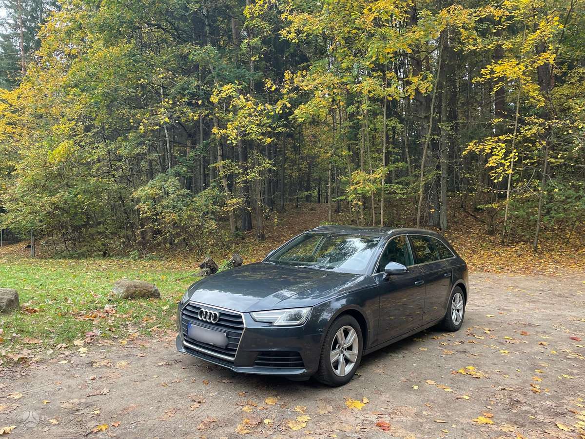 Audi A4, 2.0 l., universalas