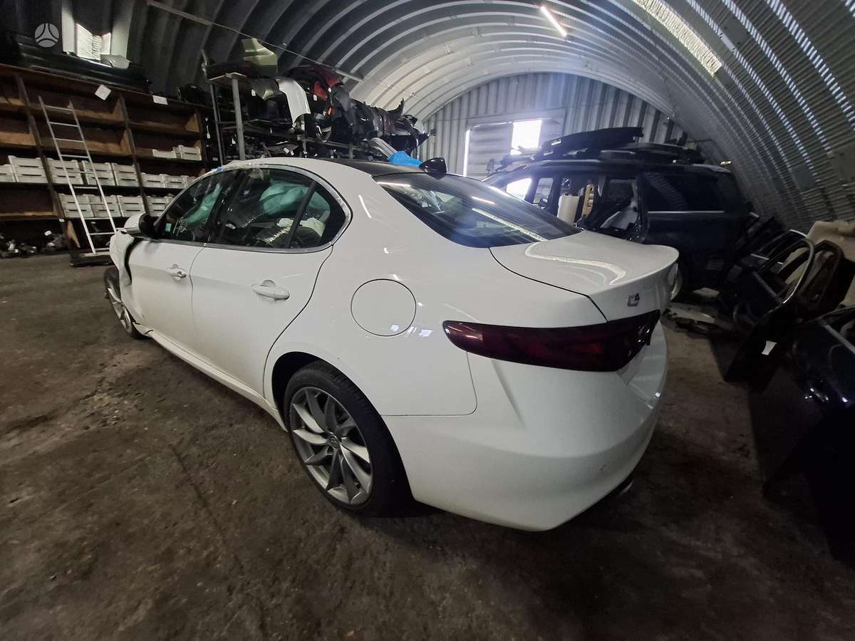 Alfa Romeo Giulia, spalva 217