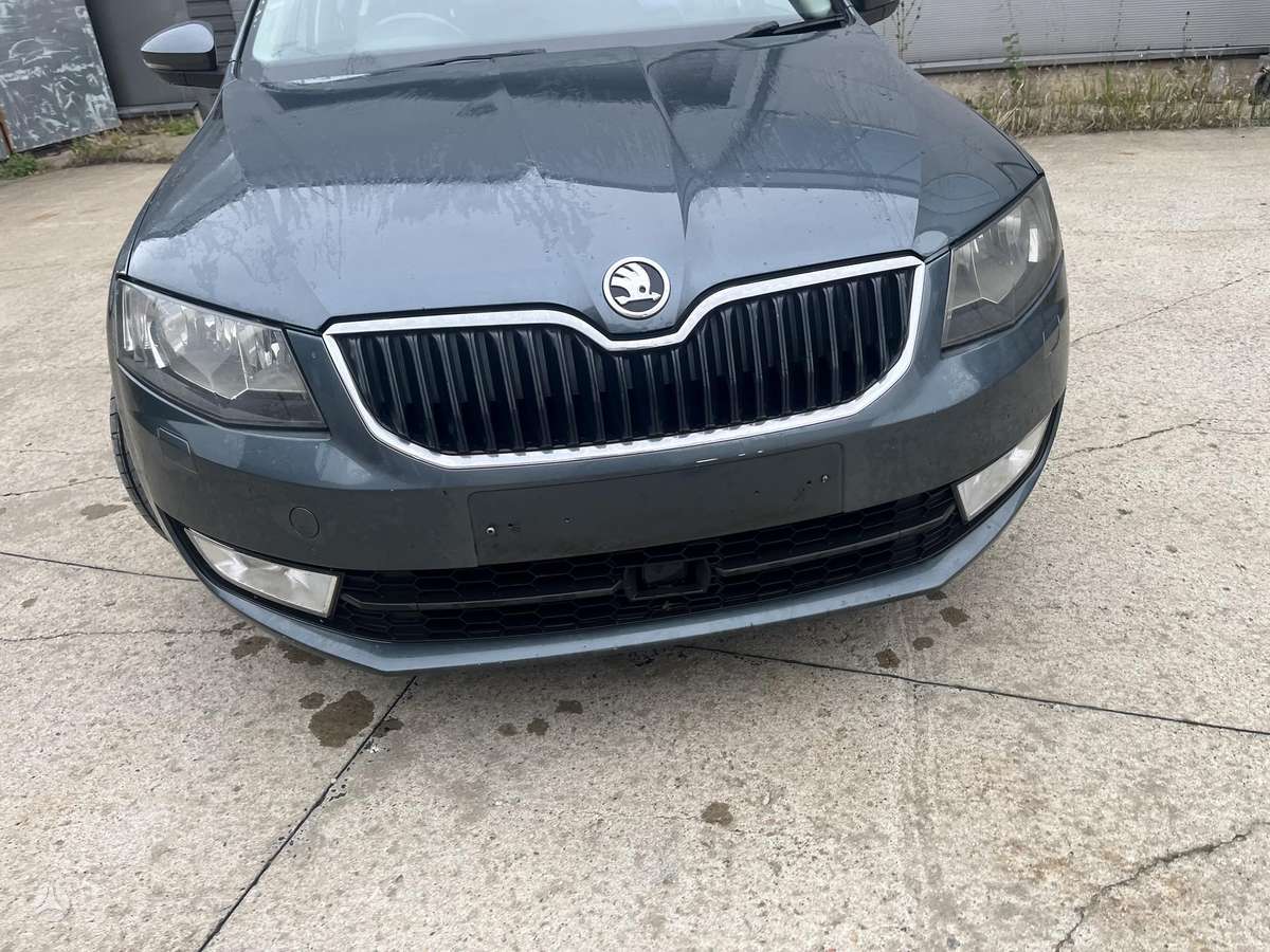 Skoda Octavia, CXX, 1 6 81 cxx mechanine qyb spalva lf9y f6f6 r16 storke