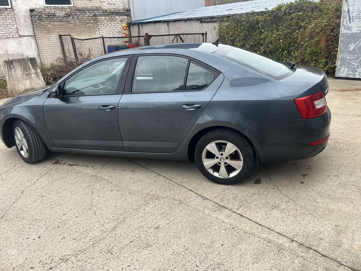 Skoda Octavia, CXX, 1 6 81 cxx mechanine qyb spalva lf9y f6f6 r16 storke