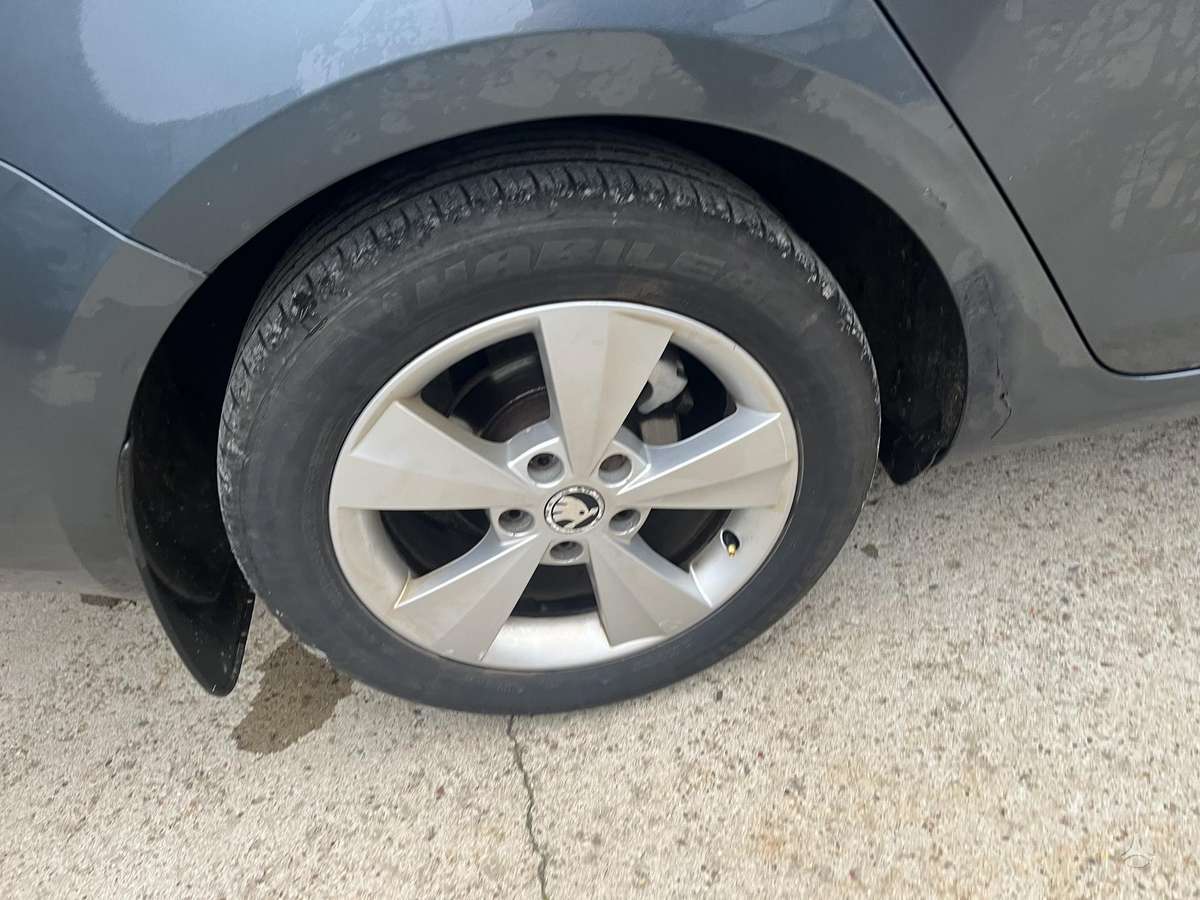 Skoda Octavia, CXX, 1 6 81 cxx mechanine qyb spalva lf9y f6f6 r16 storke