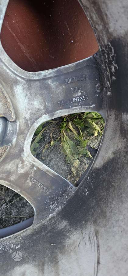 Petlas Explero winter, universalios 235/65 R17