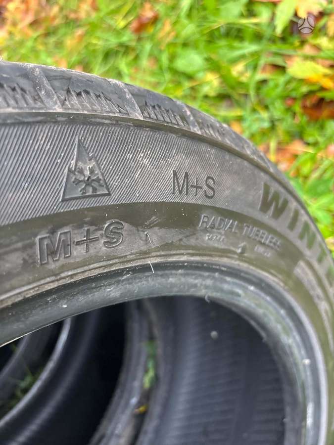 Sunny, зимние 225/50 R17