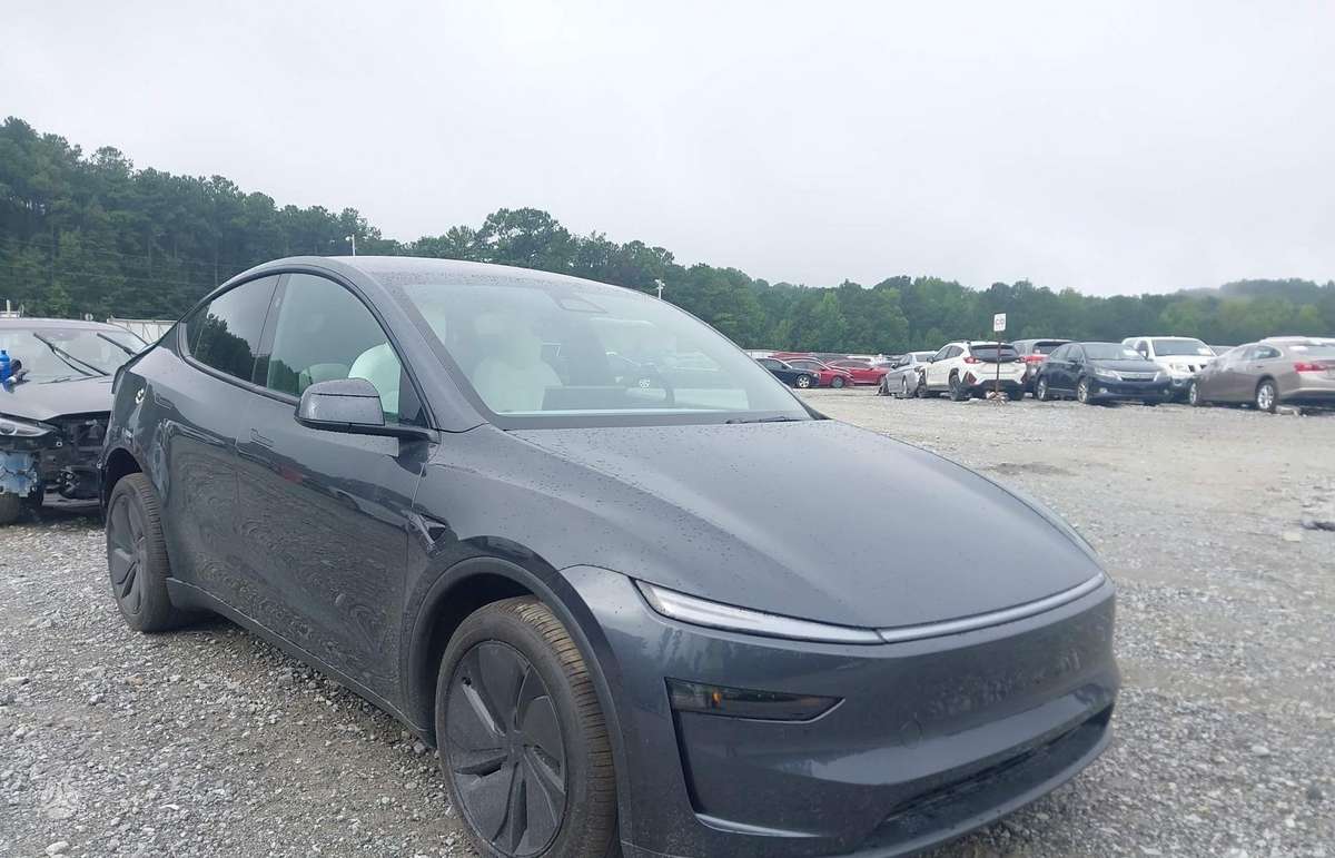 Tesla Model Y, visureigis / krosoveris