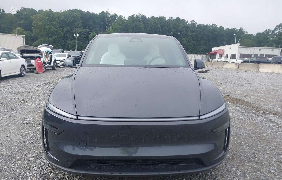 Tesla Model Y, visureigis / krosoveris