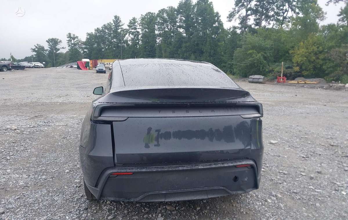 Tesla Model Y, visureigis / krosoveris