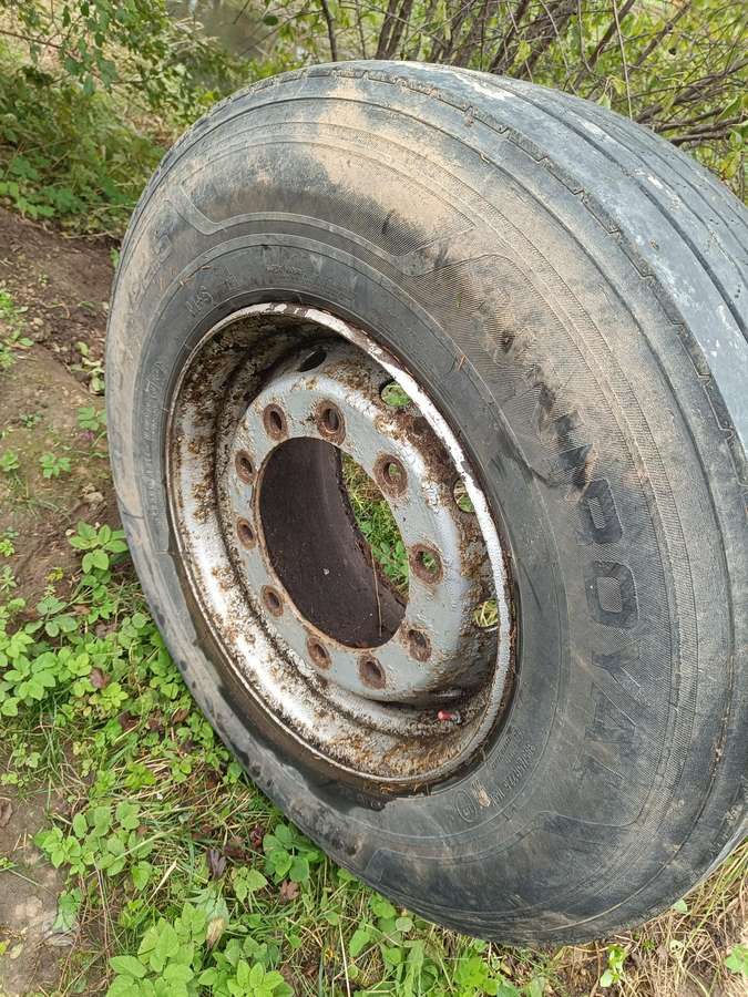 Uniroyal, universalios 385/65 R22,5
