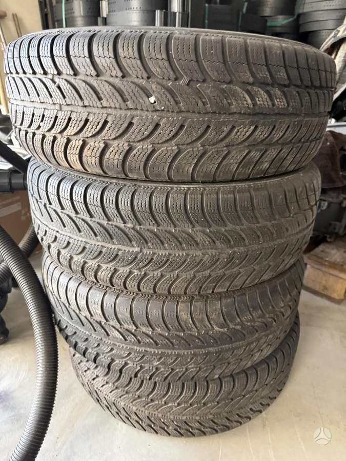 Debica, зимние 195/60 R15