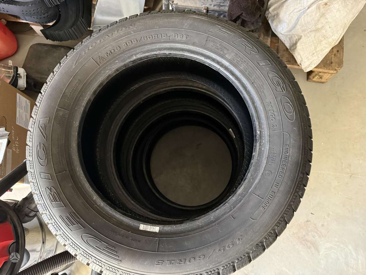 Debica, winter 195/60 R15