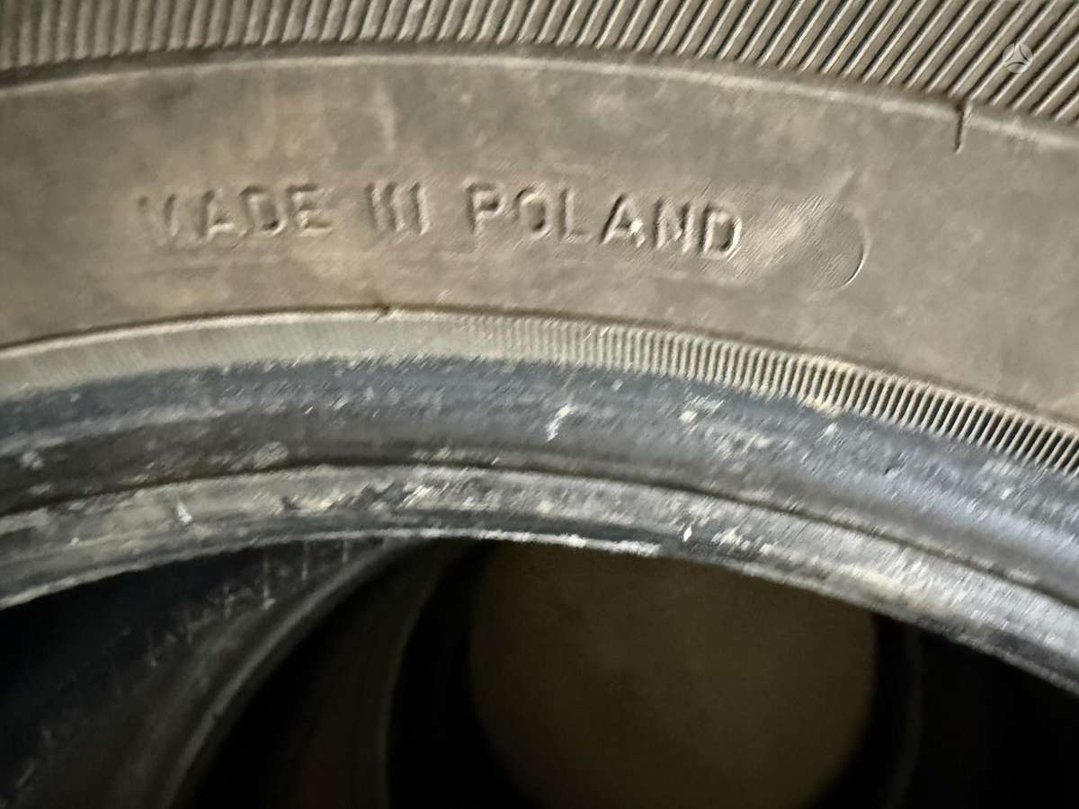 Debica, winter 195/60 R15