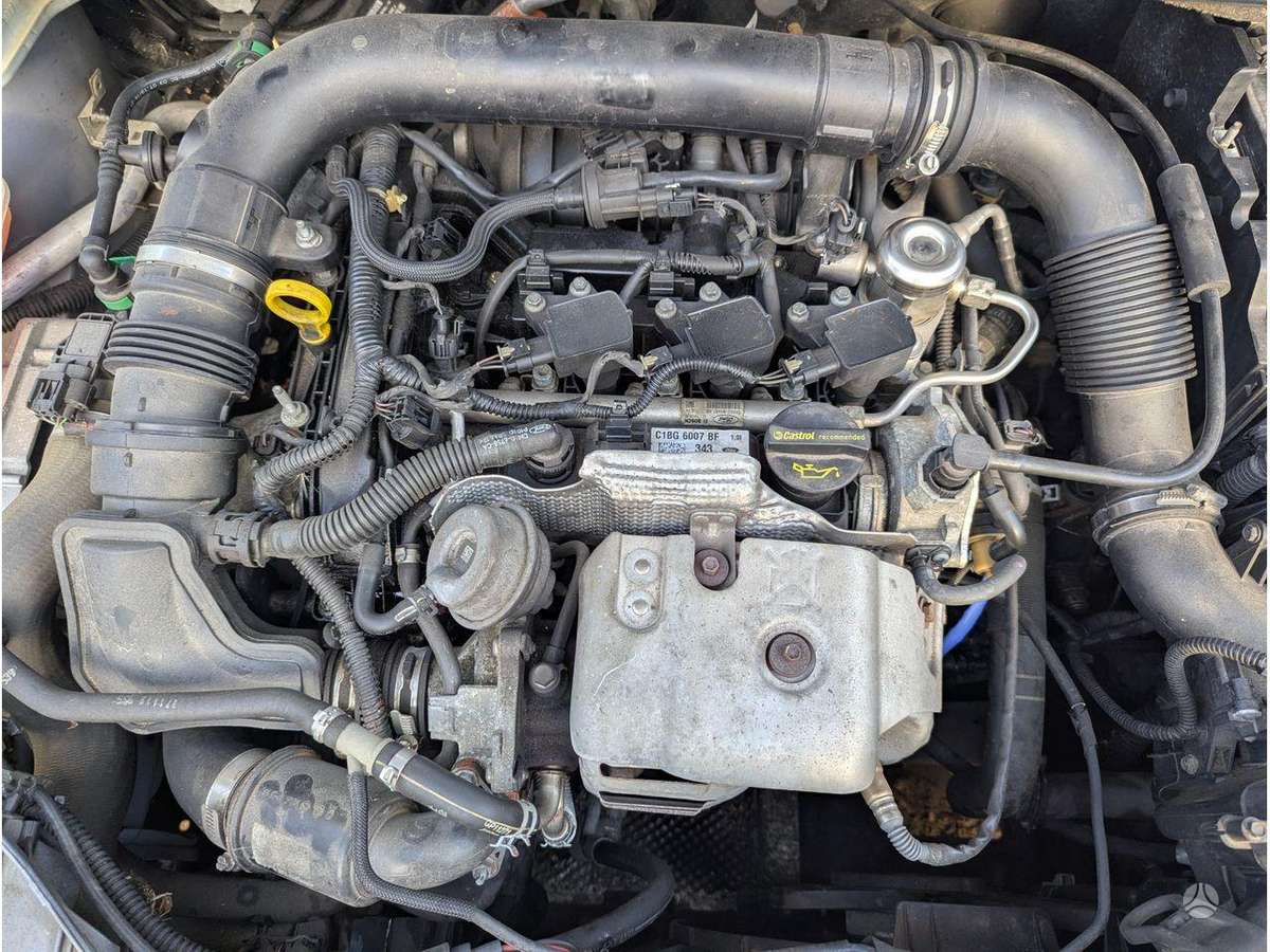 Ford Focus variklis