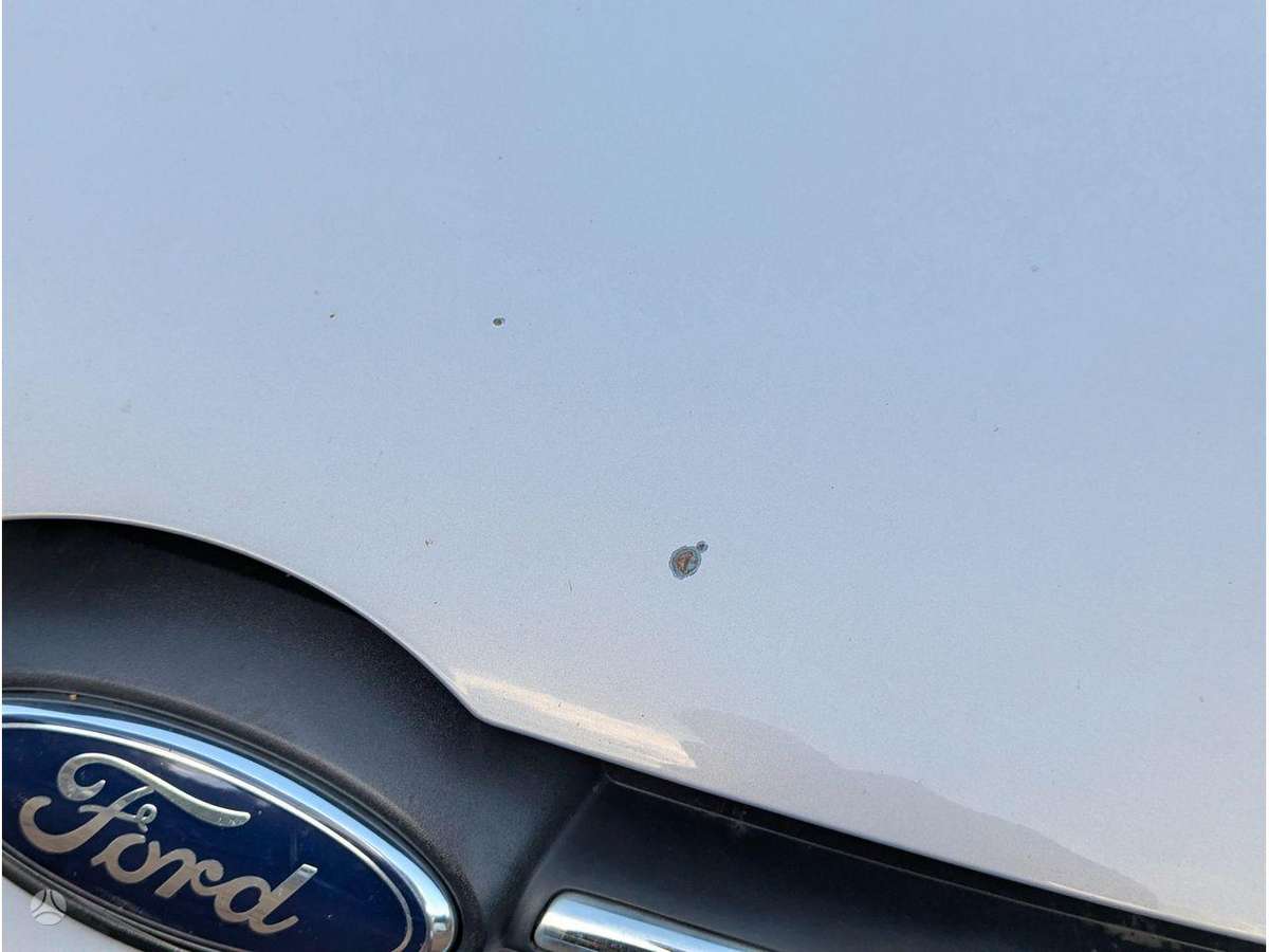 Ford Focus variklis
