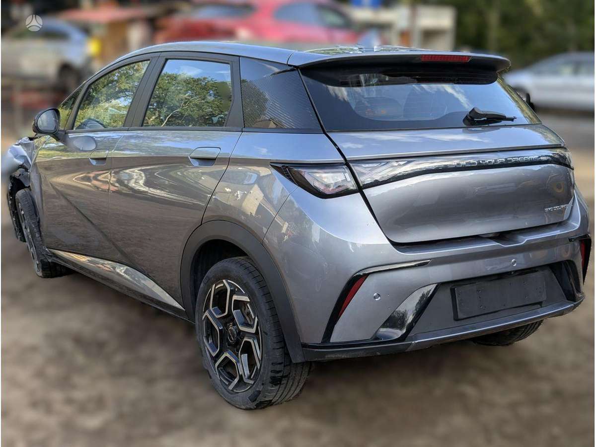 BYD Dolphin Surf двигатель