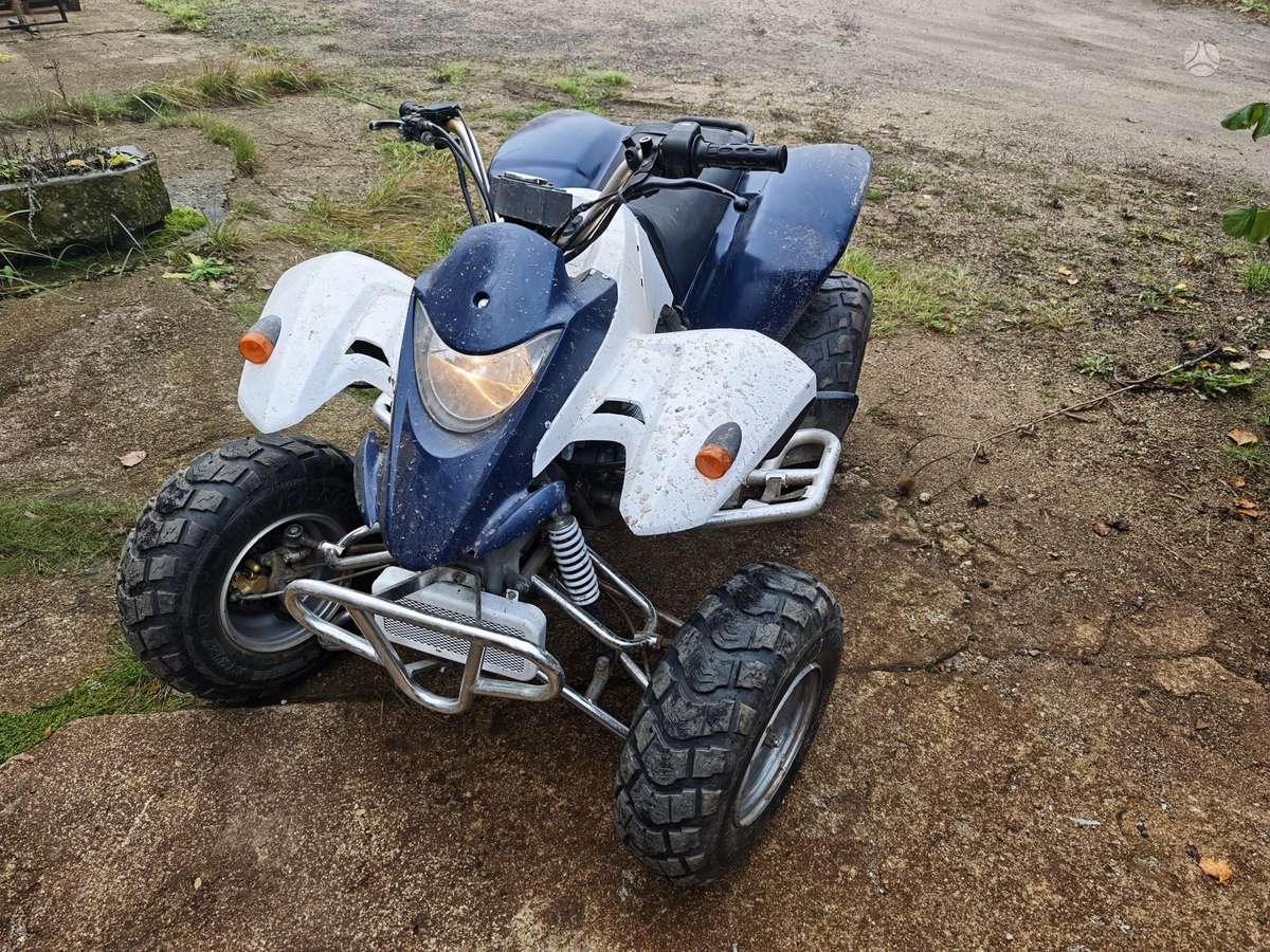 SMC Wildcat 250cc, квадроциклы