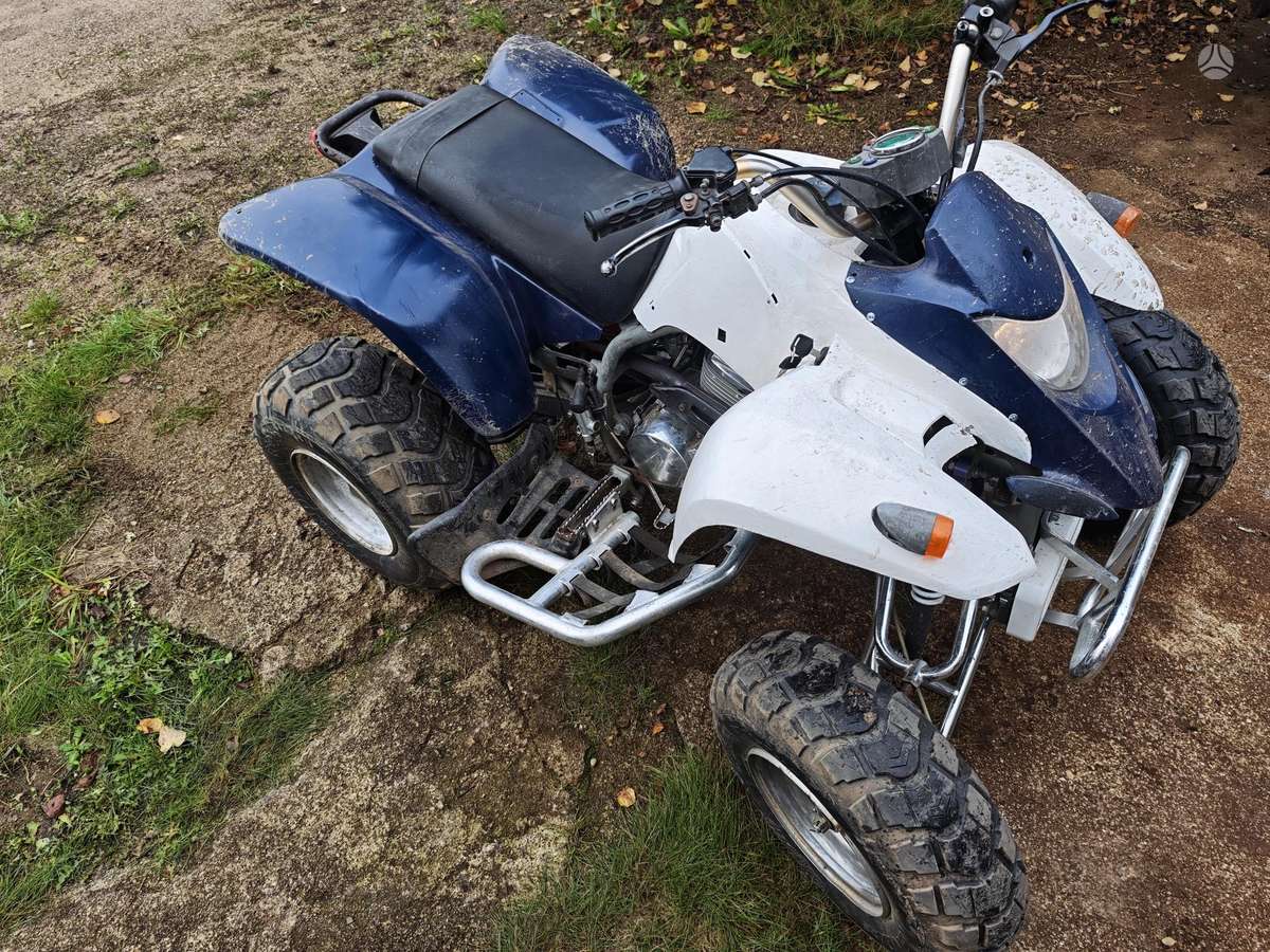 SMC Wildcat 250cc, квадроциклы