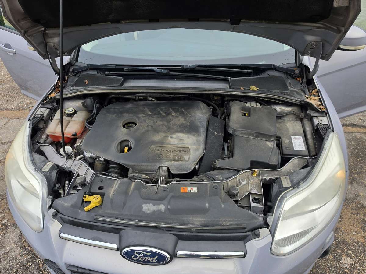 Ford Focus, 1.6 l., Хэтчбек