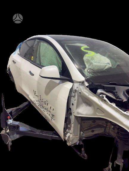Tesla Model Y по частям. Europa